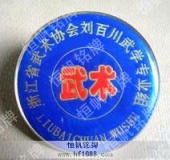 浙江省武術協(xié)會會徽徽章
