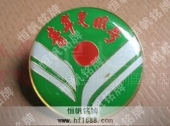 青年文明號徽標(biāo),徽章,胸章,胸徽