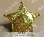 高檔榮譽(yù)胸章,榮譽(yù)勛章,鍍金鋅金獎?wù)? title=