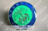 廣西腫瘤醫(yī)院徽章,醫(yī)院胸牌,醫(yī)院胸章