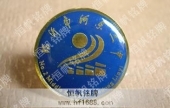 臨沂市河?xùn)|二中學(xué)校?；?學(xué)校徽章